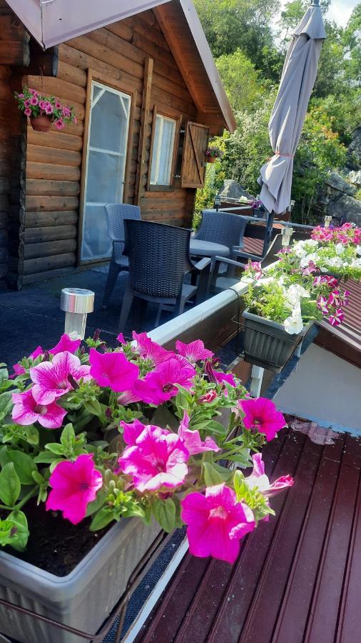 Mali Raj Apartmani Cetinje Bagian luar foto